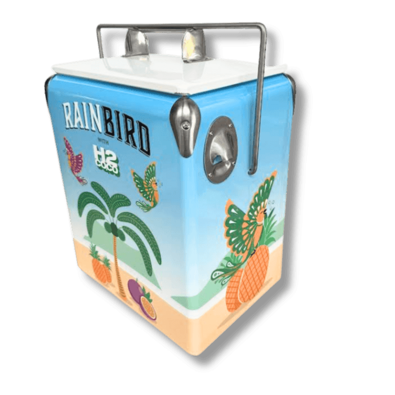 17L Retro Cooler